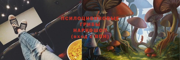 дживик Бугульма