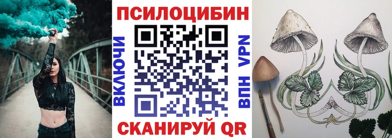 купить наркоту  Туймазы  Псилоцибиновые грибы MAGIC MUSHROOMS 